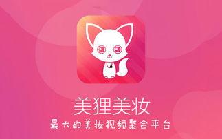 狸视频录制