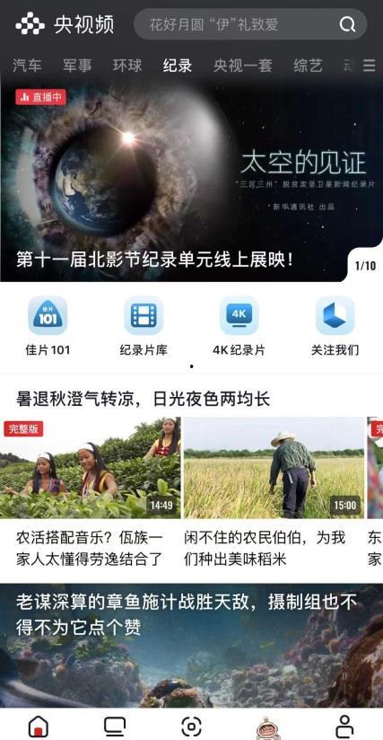 gg14免费视频,揭秘热门内容的魅力与价值