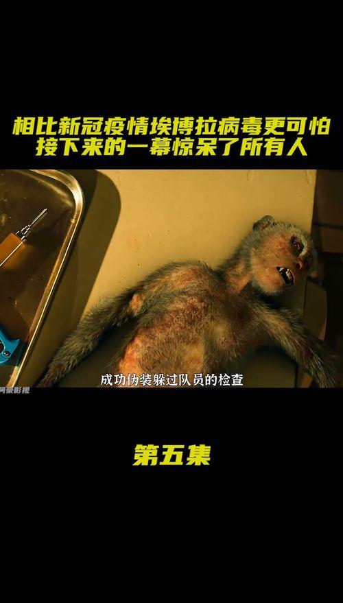 电影埃博拉病毒完整视频,生死边缘的惊悚求生