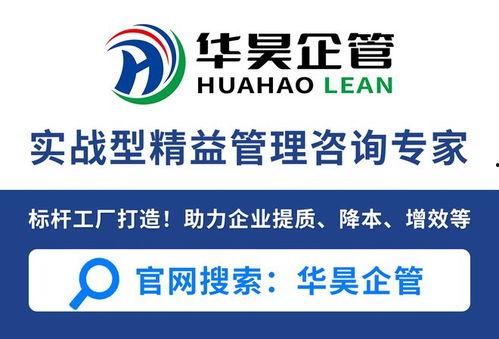 管理咨询视频,视频深度解析