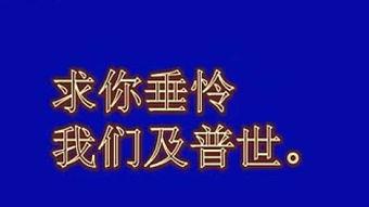 慈悲串经视频