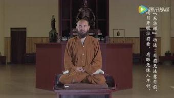 释万行视频